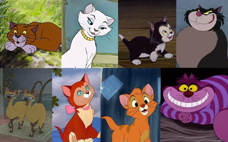 The Purr-fect Cast: 25 Disney Cats Who Stole the Show